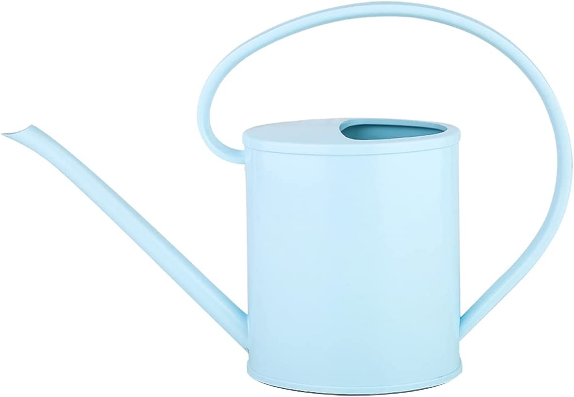 LEDREVN Small Watering can for Indoor Plants with Curved Handle 1.2L 40oz 1/3 Gallon Suitable for Home and Garden